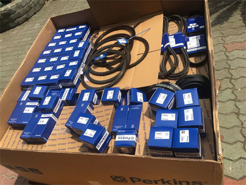 渦輪增壓珀金斯Perkins發動機CAT426F2裝載挖掘機兩頭忙3054維修保養用原裝機油濾芯配件